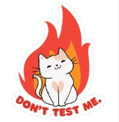 "Don't Test Me" Sassy Kawaii Cat Graphic Tee – Funny Flame Aesthetic Shirt